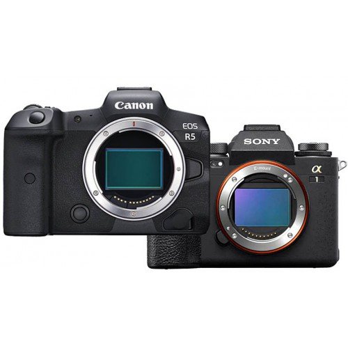 Датчик Canon EOS R5 vs датчика Sony a1 BSI