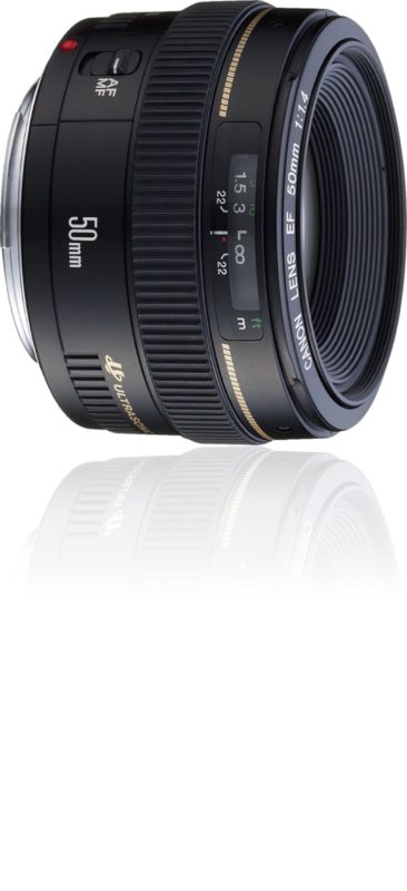 Сравнение светосильных «полтинников» Canon EF 50mm f/1.4 USM и EF 50mm f/1.2L USM