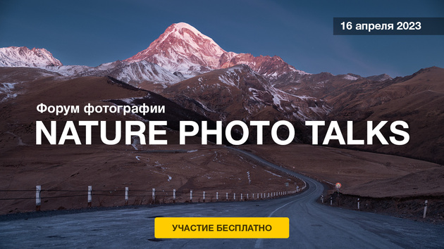 Nature Photo Talks 2023: масштабное шоу от фотографов дикой природы