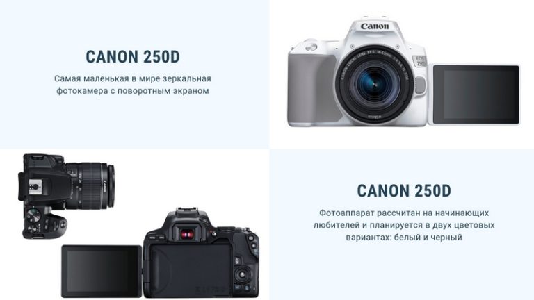 Обзор фотокамеры Canon 250D