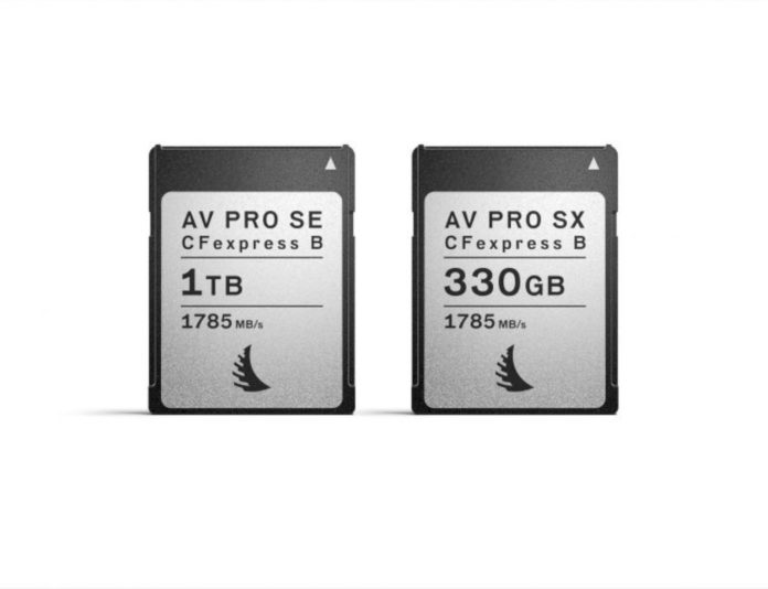 Анонсированы карты-памяти Angelbird CFexpress Type B SE 1ТБ и SX 330 ГБ
