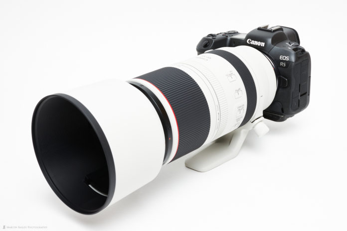 Объектив Canon RF 200-800mm F/6.3-9 IS представят 2 ноября