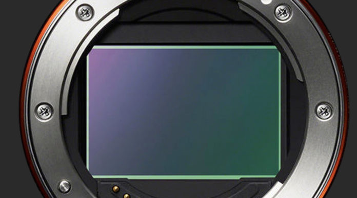 Первое изображение объектива Sony FE 24-50mm F/2.8 G