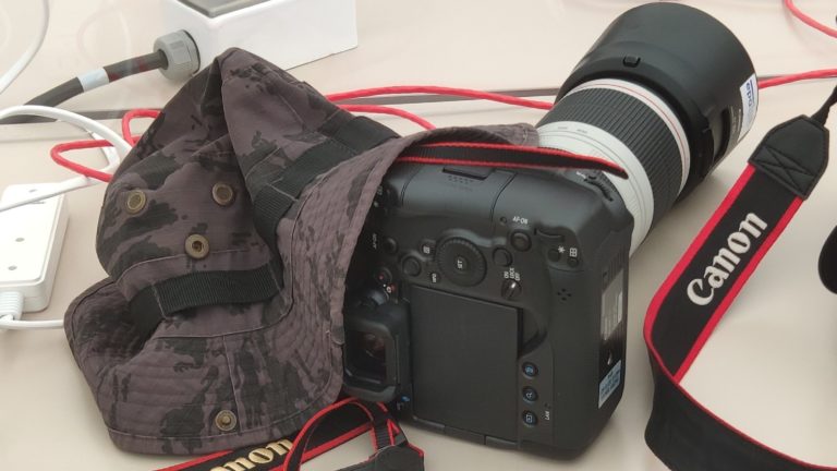 Еще одно подтверждение: в камере Canon EOS R3 установлен сенсор на 24 мегапиксела
