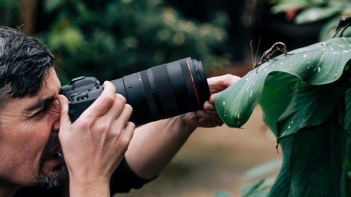 Sigma выпустит первые объективы для Canon RF в феврале