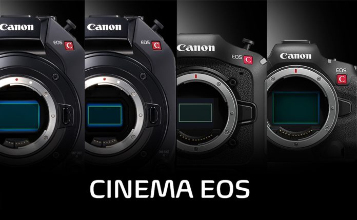 Canon сфокусируется на развитии видеосегмента