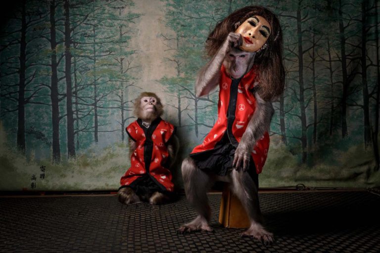 Фотография обезьяны в маске — победитель премии Европейский фотограф дикой природы 2020