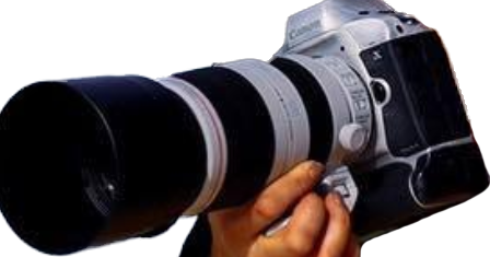  Новые детали относительно Canon EOS 1D X Mark III